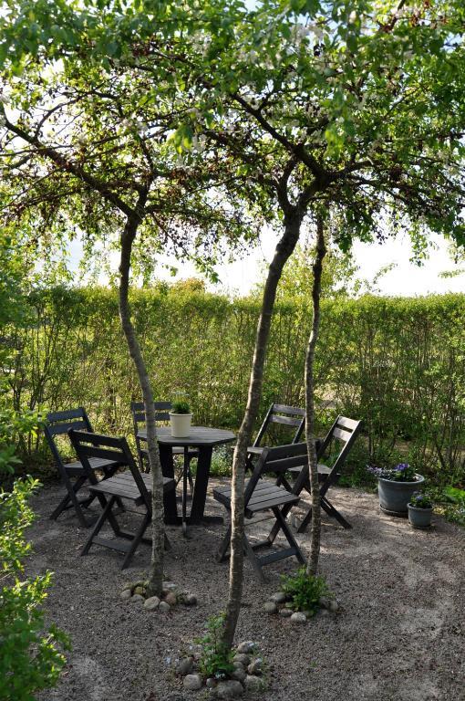 Kontakta Liselotte Abel Bed & Breakfast Vessigebro Dış mekan fotoğraf